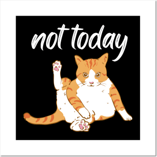 Lazy Cat Nope not Today funny sarcastic messages sayings and quotes Posters and Art